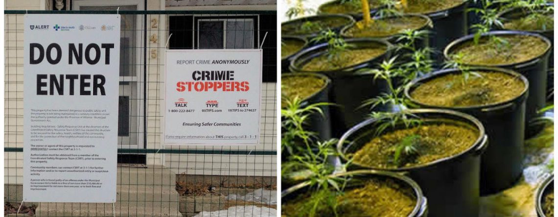 Crime Stoppers Sign Calgary Marijuana Grow House Remediation Services