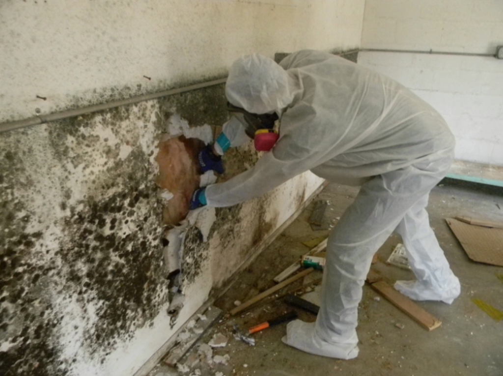 Technician in PPE removing drywall covered with mold
