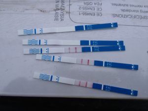 Fentanyl swabs used for vehicle decontamination testing