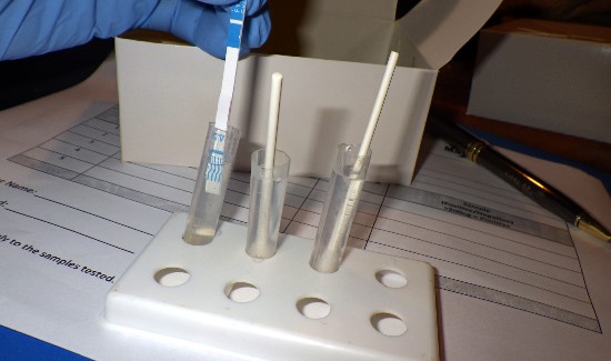 Drug test strips in sampling vials