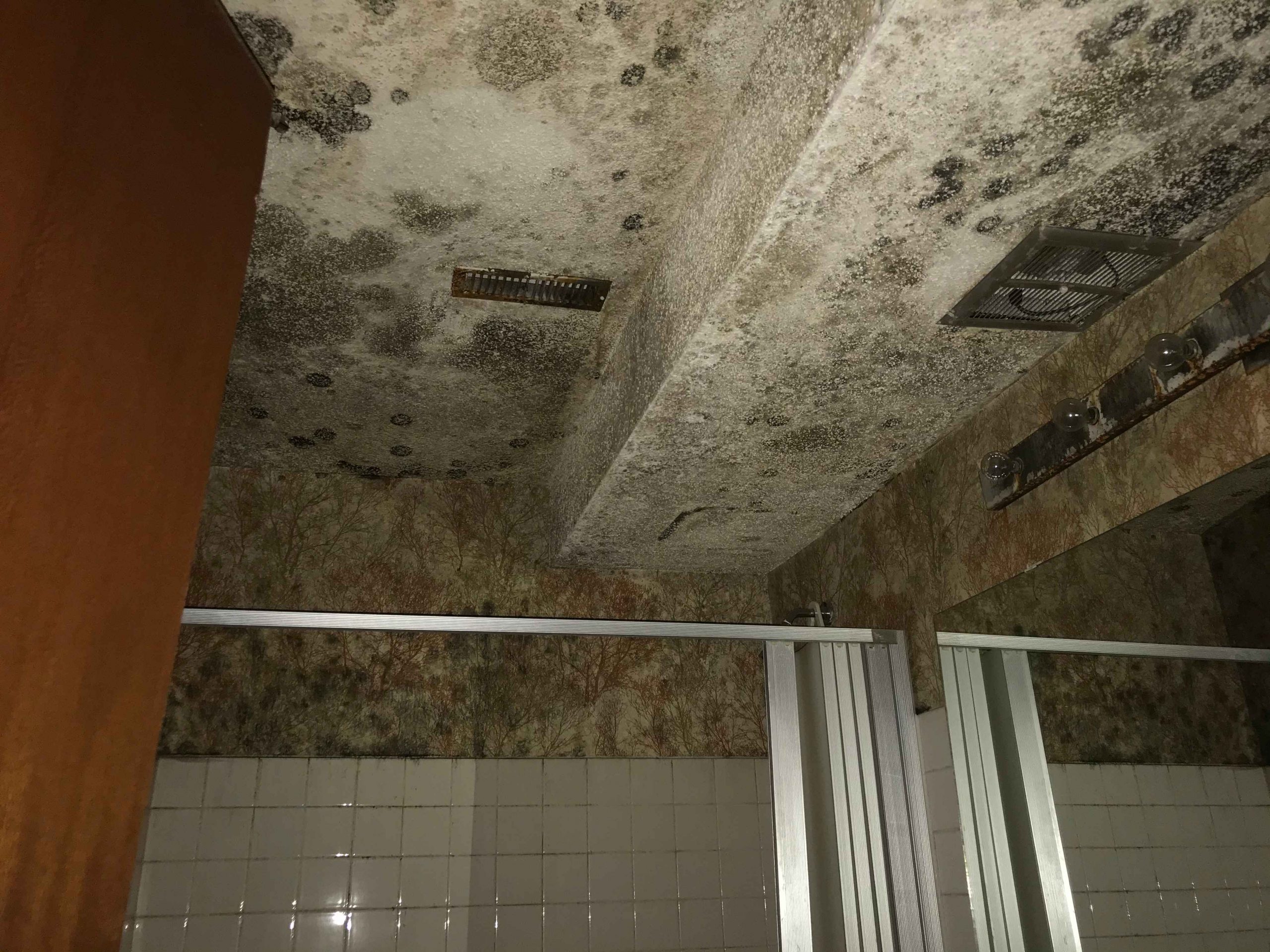Inspection of a bathroom with mould build up on ceiling.