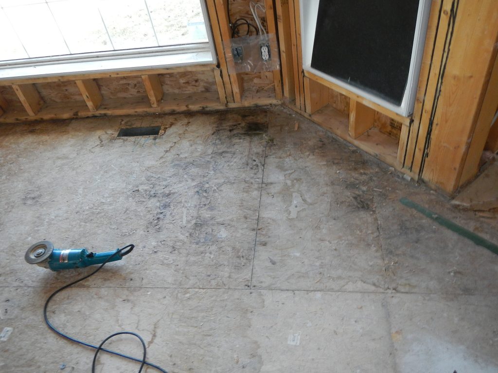 Mold growth on subfloor near basement window during winter in Calgary home