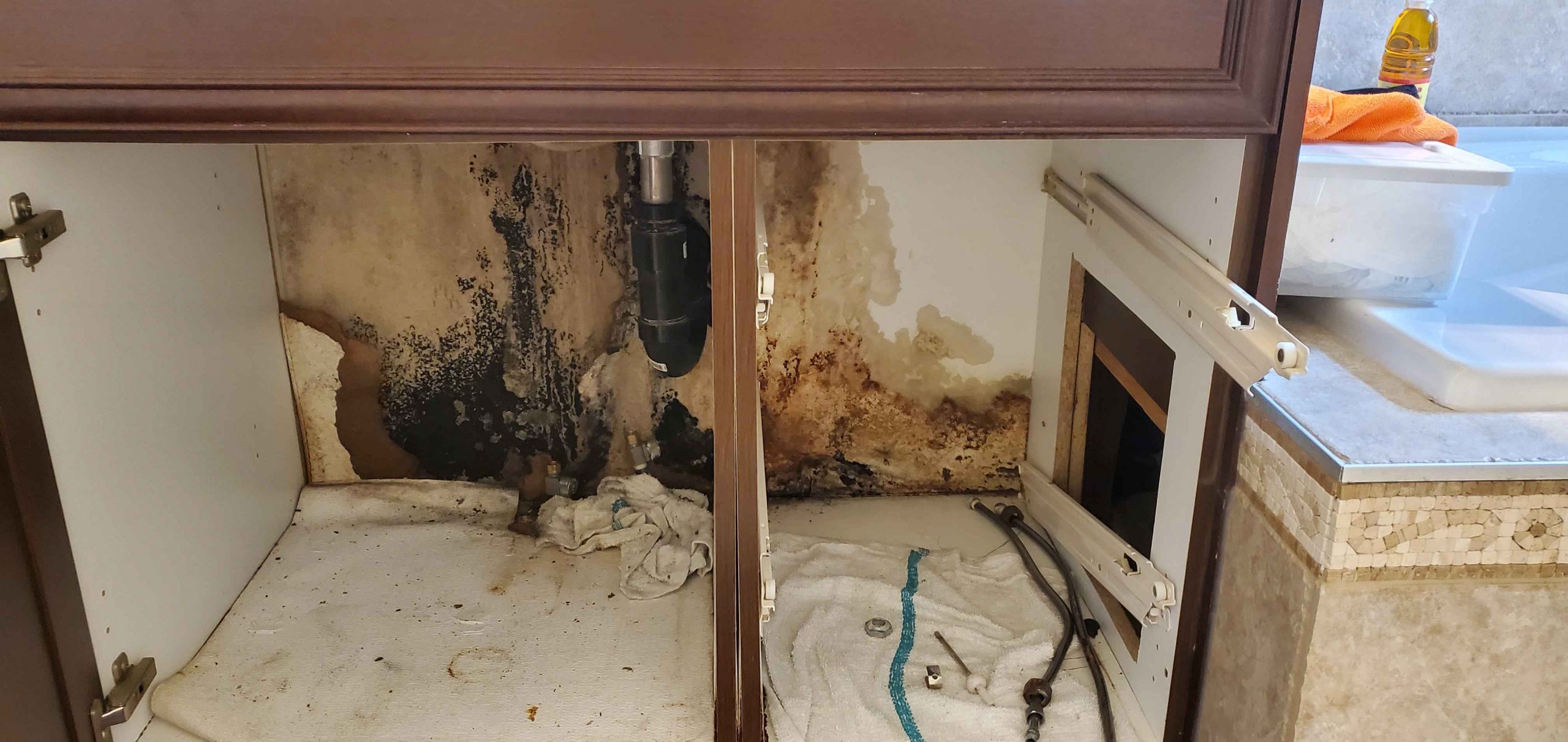 evere mould growth under a bathroom sink, showing water damage and contamination that requires certified winter mould remediation.